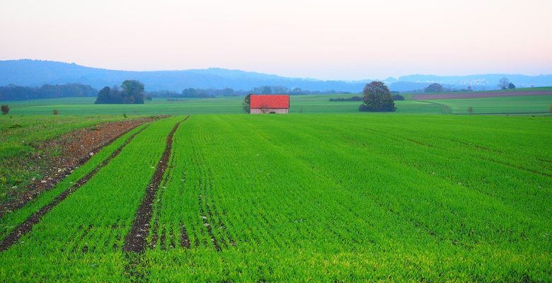 Rétrospective sur le Salon international de l’agriculture de Paris