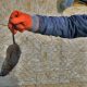 4 moyens pour maintenir votre maison sans nuisibles
